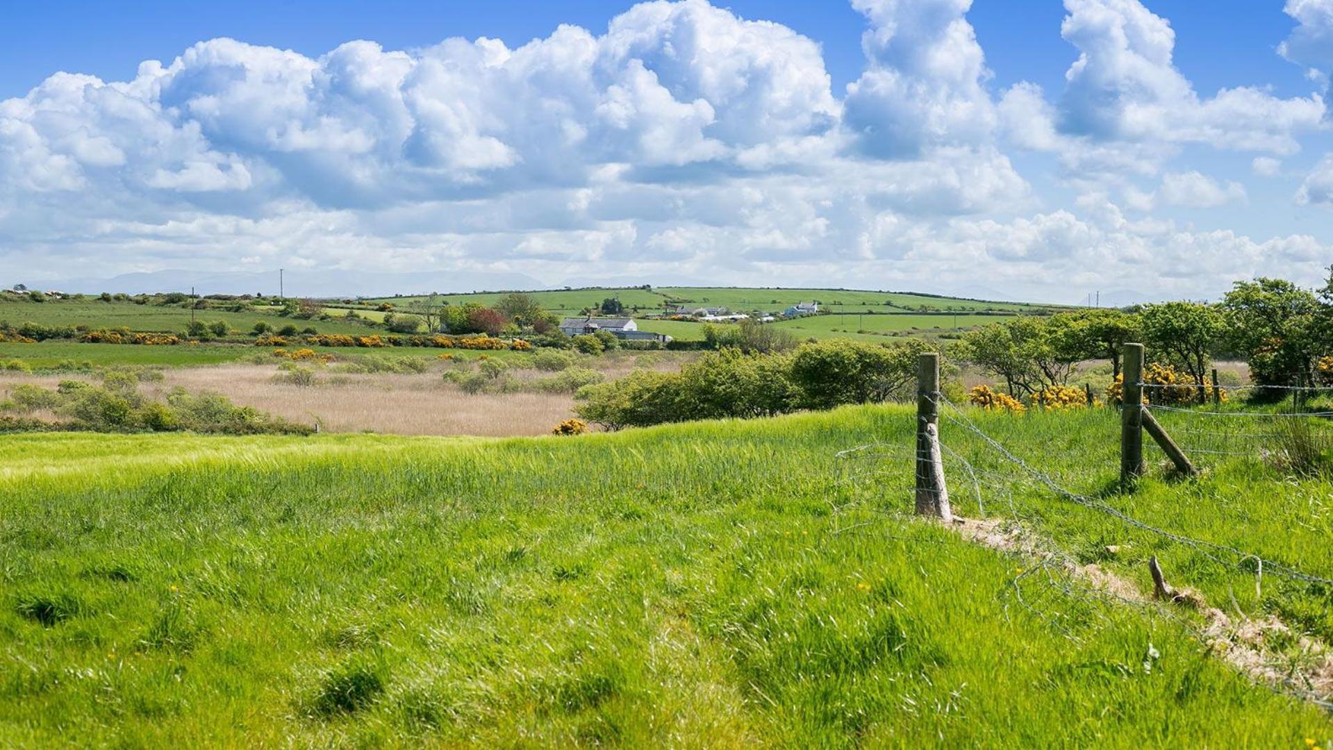 Glan Gors Felin Villa Llanrhyddlad Dış mekan fotoğraf